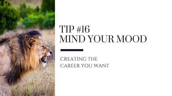 Creating the Career You Want – Tip #16